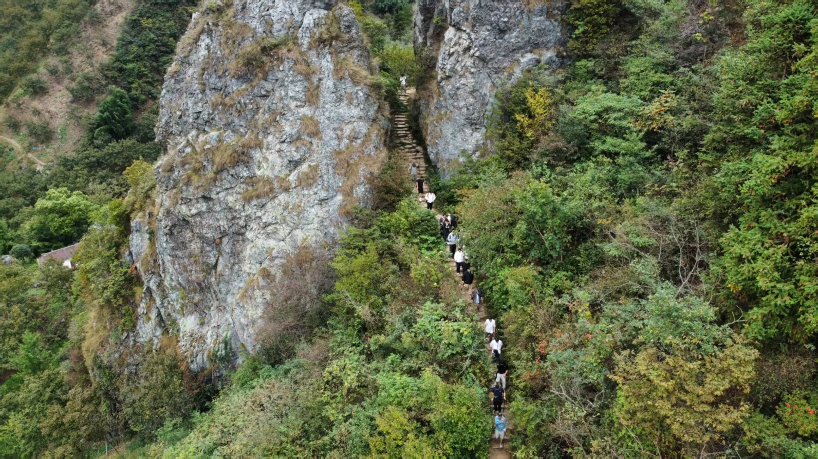 微信图片_20251022104323_43_225(1).jpg